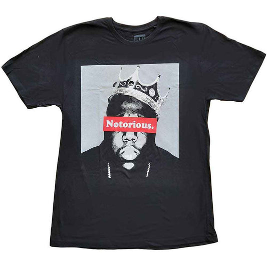 The Notorious B.I.G - Notorious