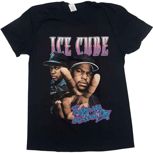 Ice Cube - Today Was A Good Day